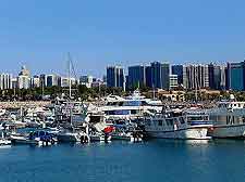 Marina picture