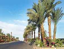 Picture of main road