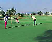 Adelaide Golf Courses