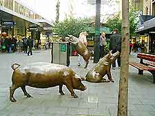 Adelaide Shopping