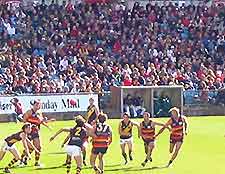 Adelaide Sports and Outdoor Activities