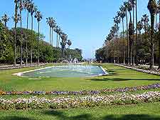 Jardin d'Essai du Hamma image (Algiers Botanical Gardens)