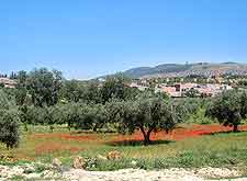 Scenic view of the Tlemcen National Park