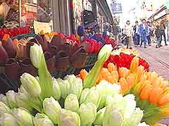 Amsterdam Markets