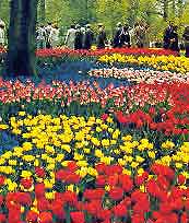 Amsterdam Parks and Gardens
