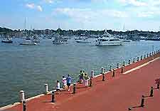 Annapolis Harbor2