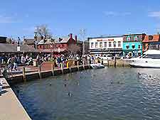 Annapolis Harbor3