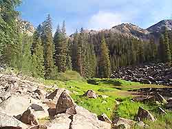 Aspen Countryside