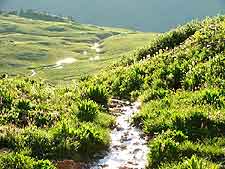 Aspen Stream