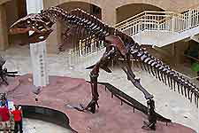 Atlanta Fernbank Museum