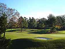 Atlanta Golf Buckhead