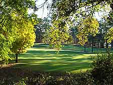 View of neighbouring club in the autumn
