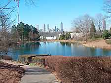 Atlanta Skyline View