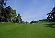 Fairway photo