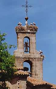 Avila Churches