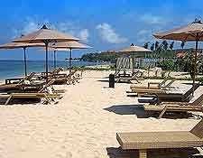 Summer beachfront picture