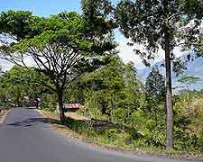 Different image of the Kintamani area of the island