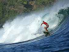 Photo of summer surfer