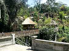 Picture taken in Ubud