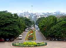 Bird's eye view of the city