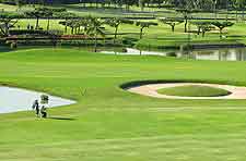 Picture of nearby golf course