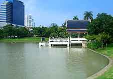 Picture of central park