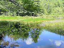 View of Acadia National Park