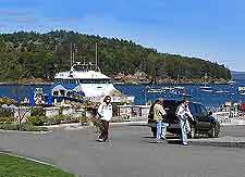 Picture of passenger boats in the harbor
