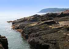 Photo of Seal Cove
