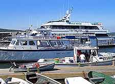 Image showing whale watching cruise boats