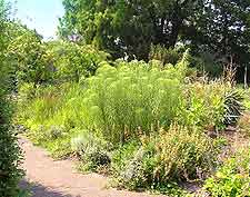 Springtime image of the Botanischer Garten Bruglingen
