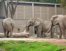 City Zoo view