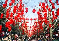 Picture of the Lantern Festival in March