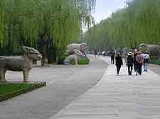 Picture of the Ming Tombs