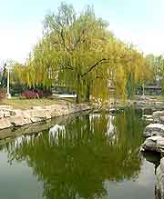 Picture of park in the city centre