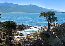 Coastal view, showing famous nearby cypress tree