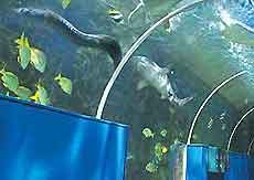 Birmingham Attractions for Children
