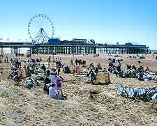 Picture of the Central Pier