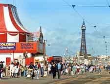 Image of the Golden Mile and Tower