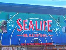 Sea Life Centre picture