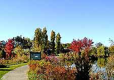 Boise Kath Albertson Pk
