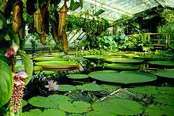 Berlin Parks and Gardens