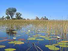 Image of the Okavango Delta