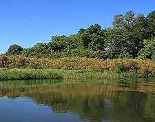 River photograph, taken at the Okavango Delta
