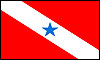 Para flag