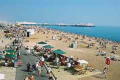 Gay Brighton