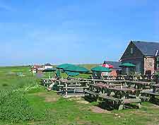 Brighton Tourist Attractions