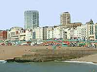 Brighton Business Tips