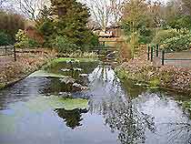 Brighton Parks and Gardens