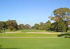 Brighton Sports and Outdoor Activities